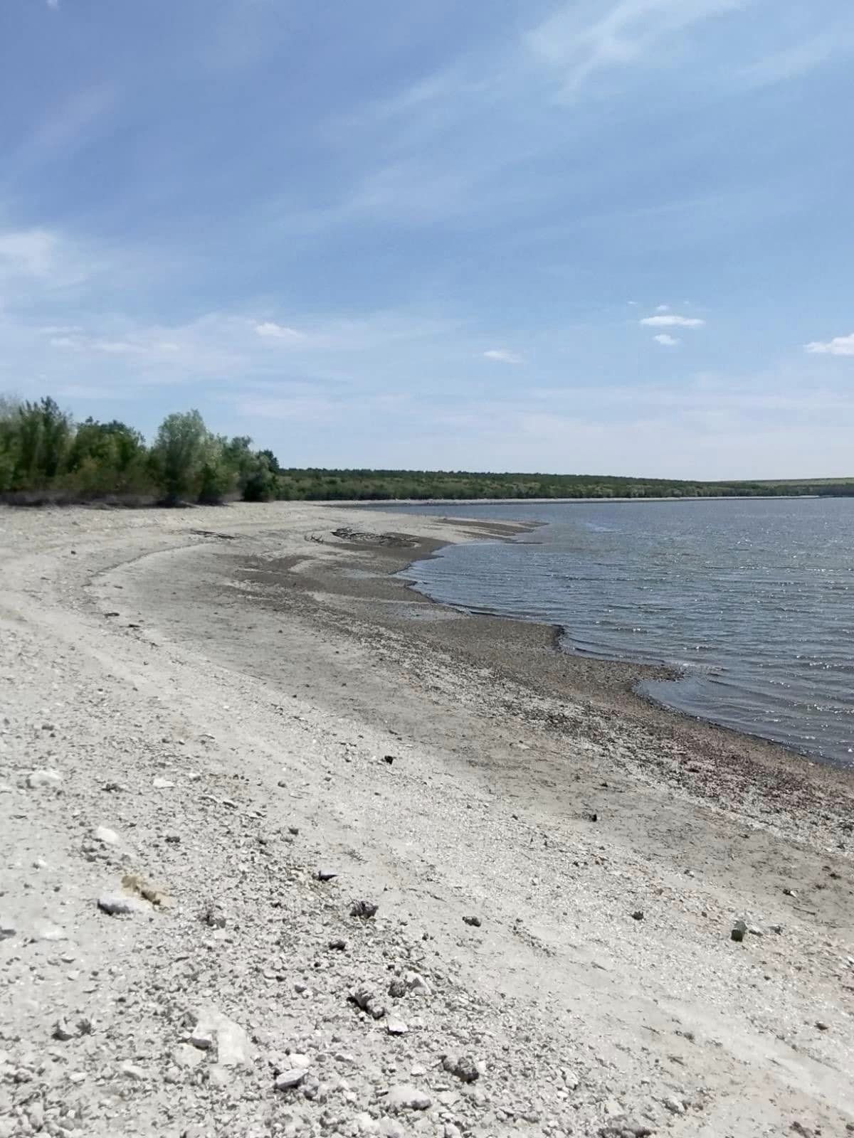 Так вмирає природа Каховського водосховища. У мережі показали трагічні фото