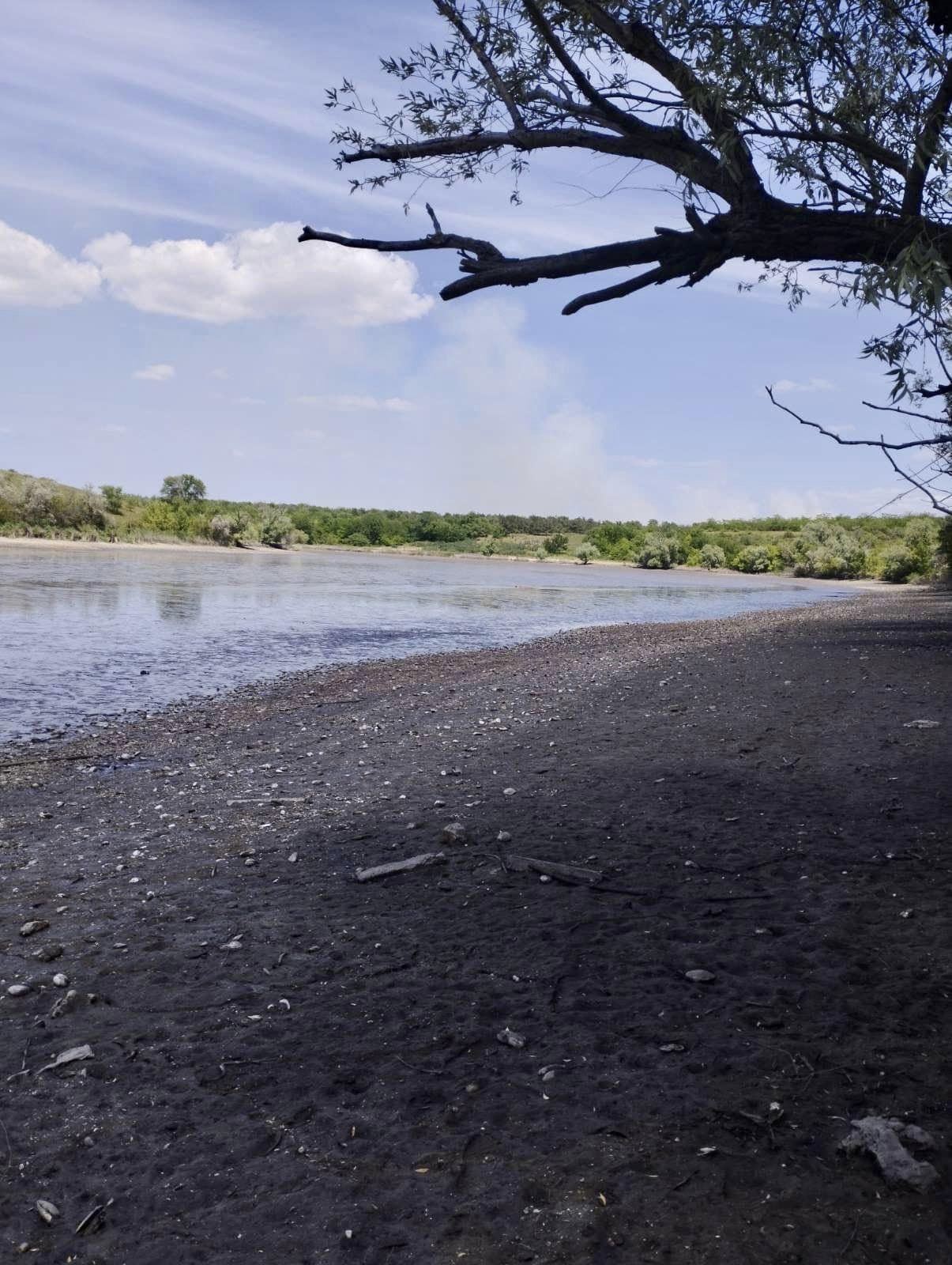 Так вмирає природа Каховського водосховища. У мережі показали трагічні фото