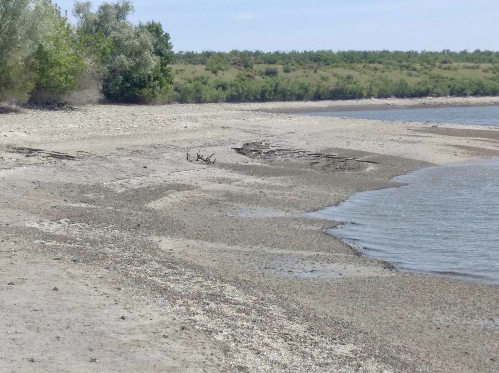 Так вмирає природа Каховського водосховища. У мережі показали трагічні фото