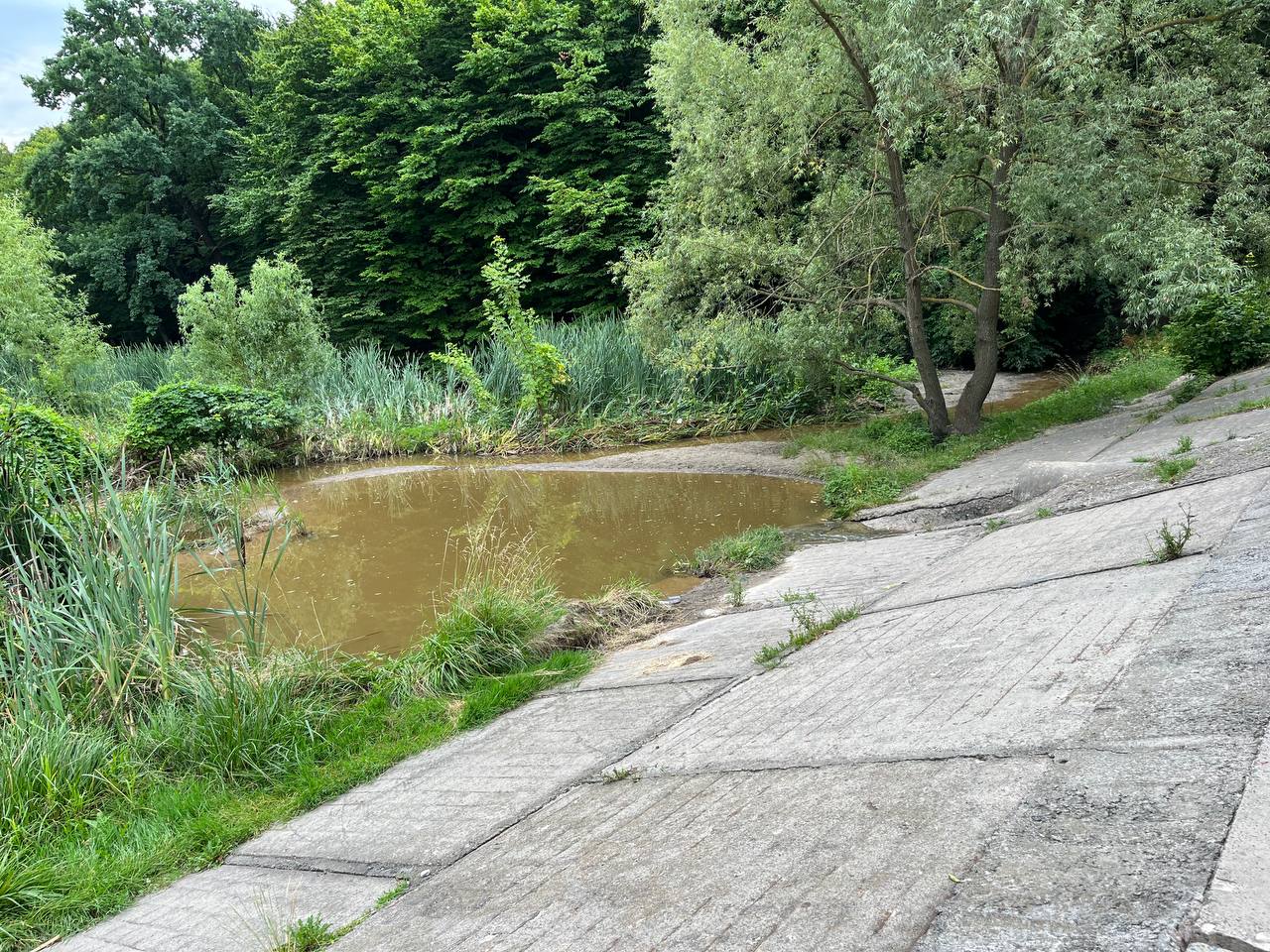 Собакам краще не купатися. В одному із парків Києва - знову катастрофа з озерами