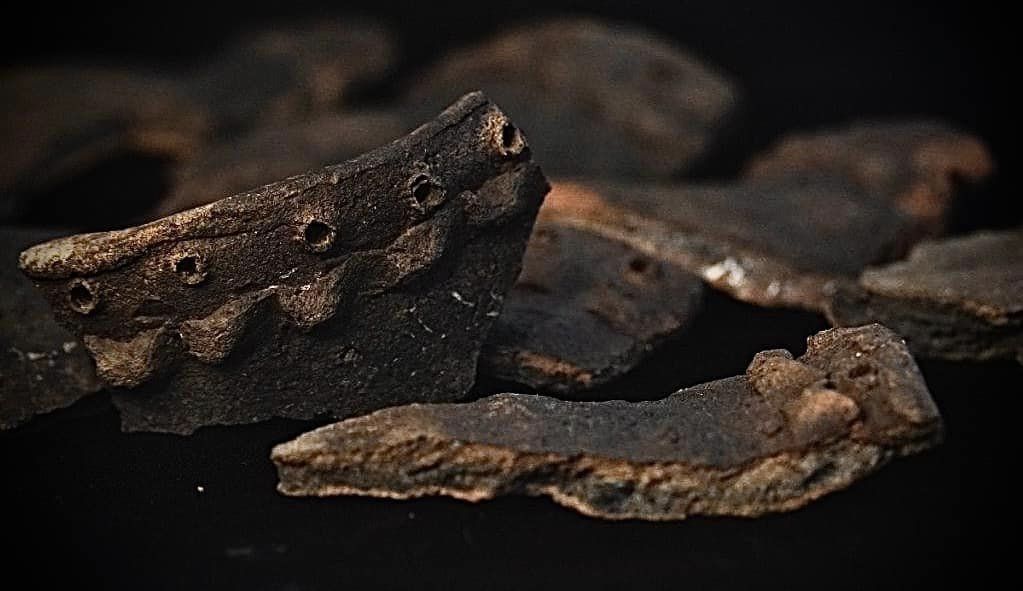 В Полтавской области обнаружили уникальное золото, которому более 2 000 лет: фото находки