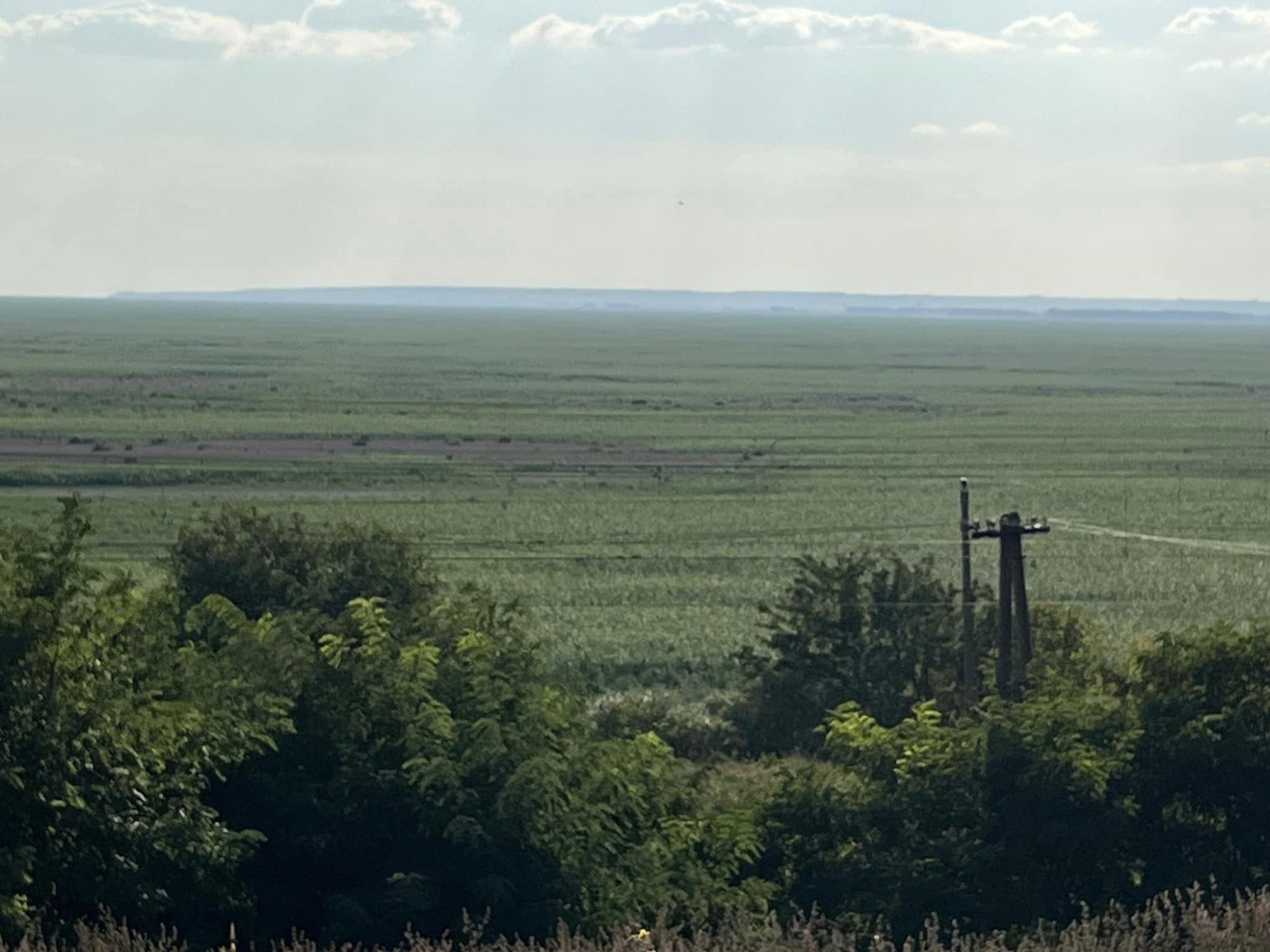 Зелене безкрайнє "поле". Дивіться, як зараз виглядає Каховське водосховище (фото і відео)