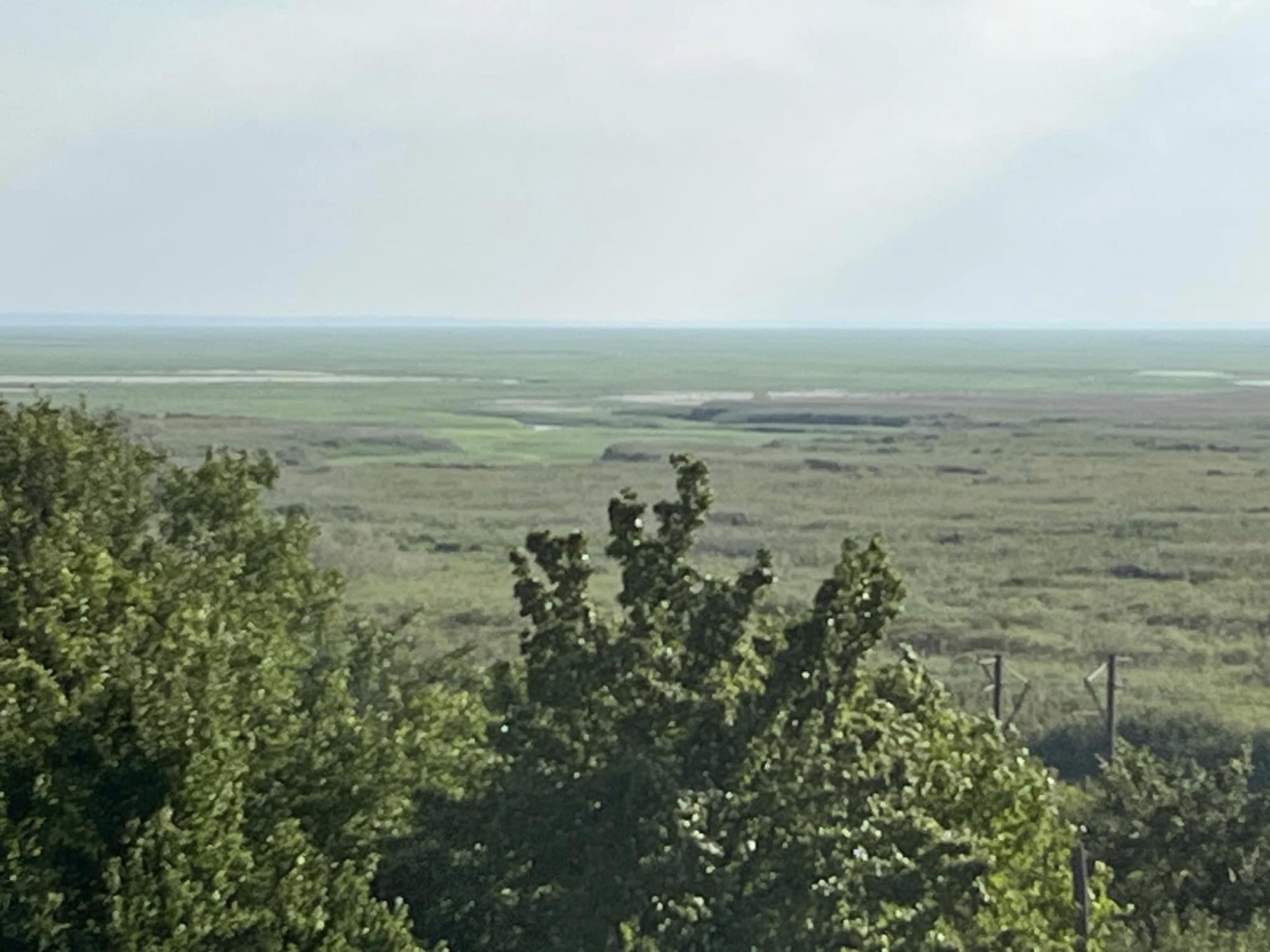 Зелене безкрайнє "поле". Дивіться, як зараз виглядає Каховське водосховище (фото і відео)