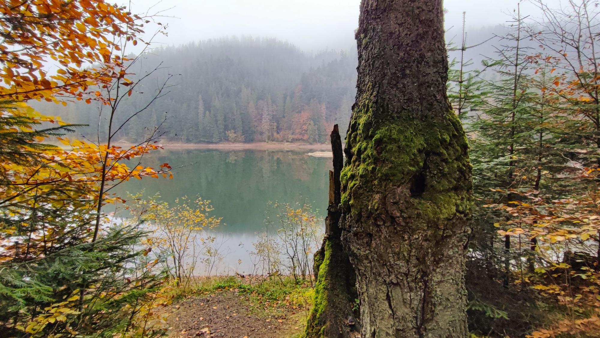 Осінь у Карпатах. Ідеальний дводенний маршрут для мандрівки у міжсезоння