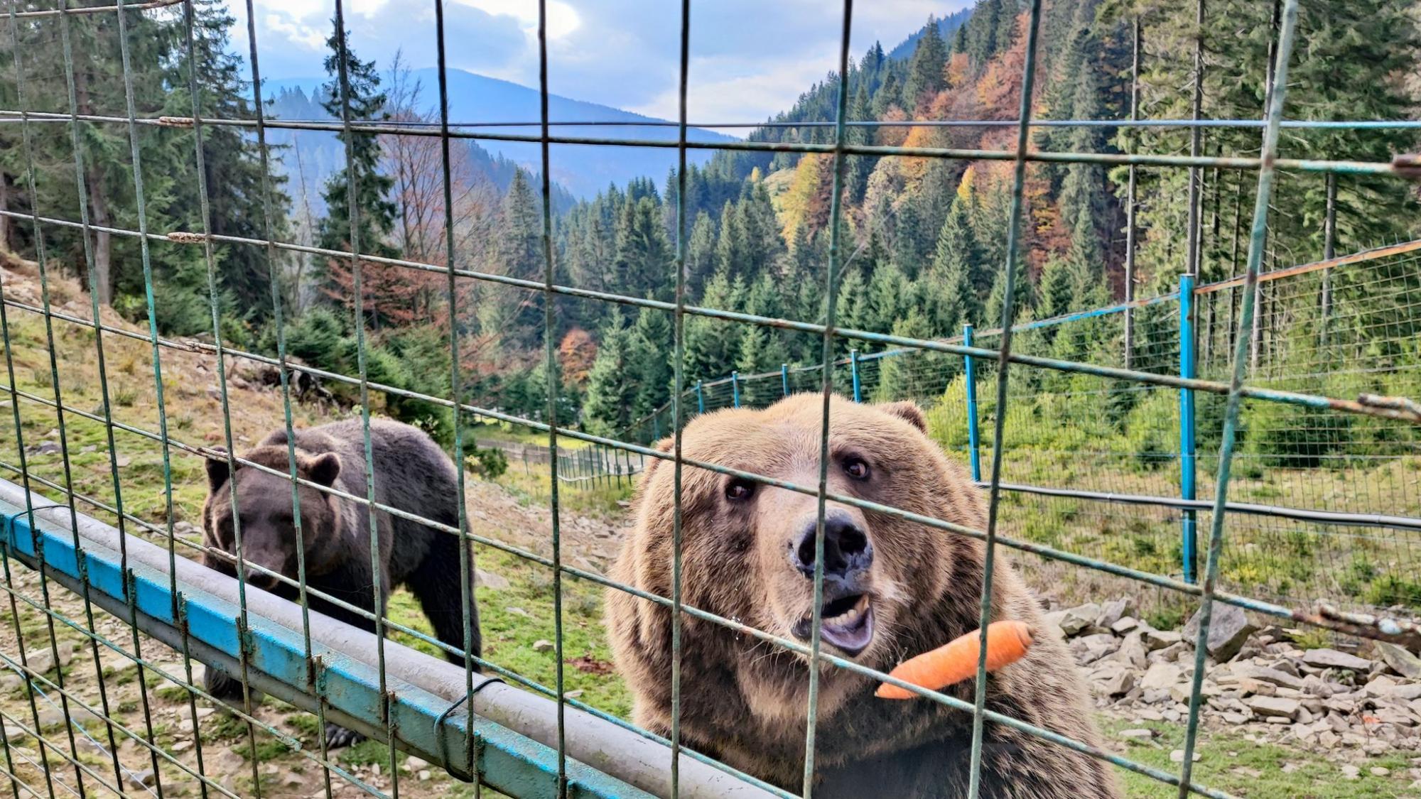 Осінь у Карпатах. Ідеальний дводенний маршрут для мандрівки у міжсезоння