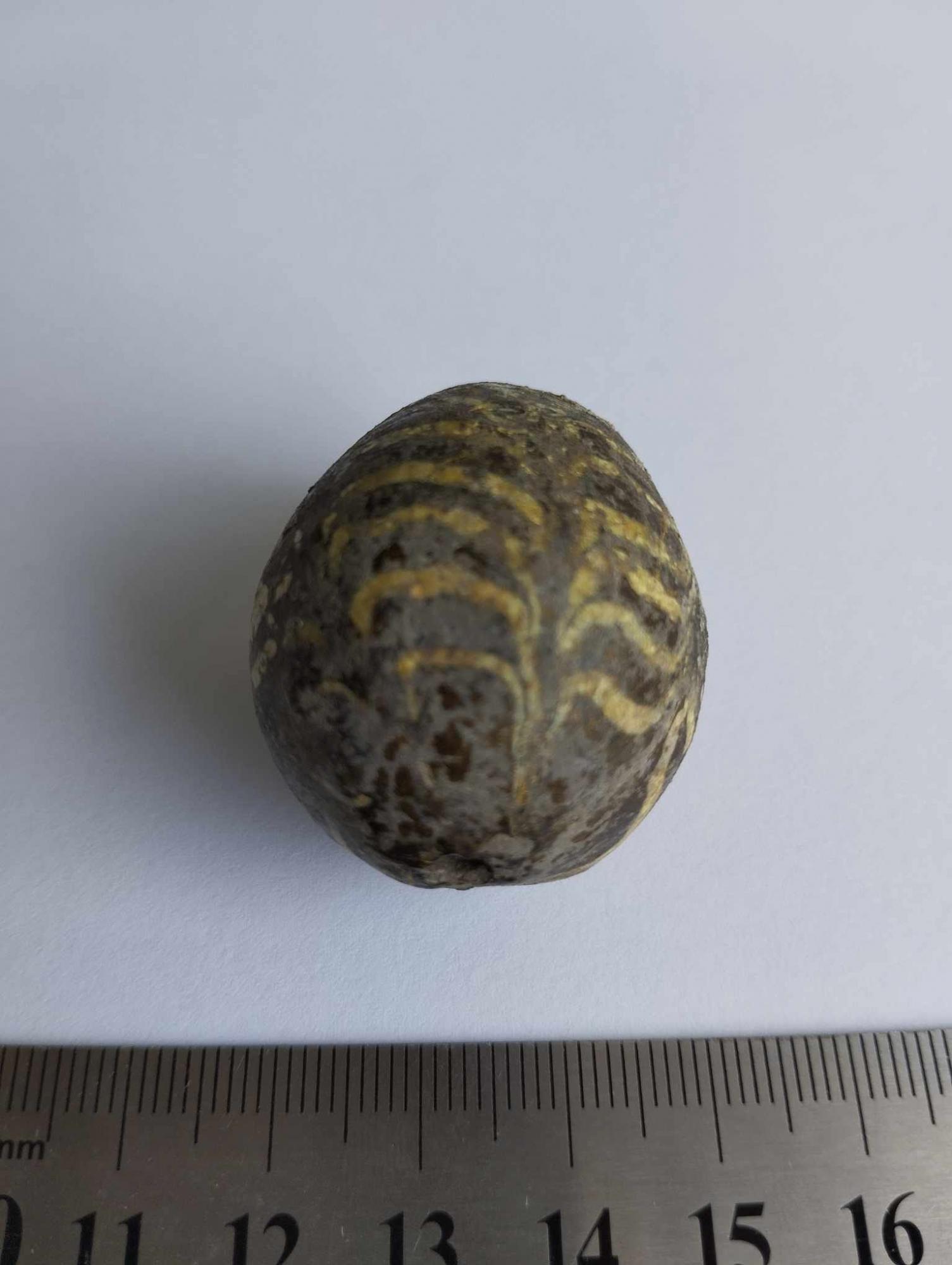 На Волині чоловік копав город і випадково знайшов писанку Х-ХІ століття (фото)