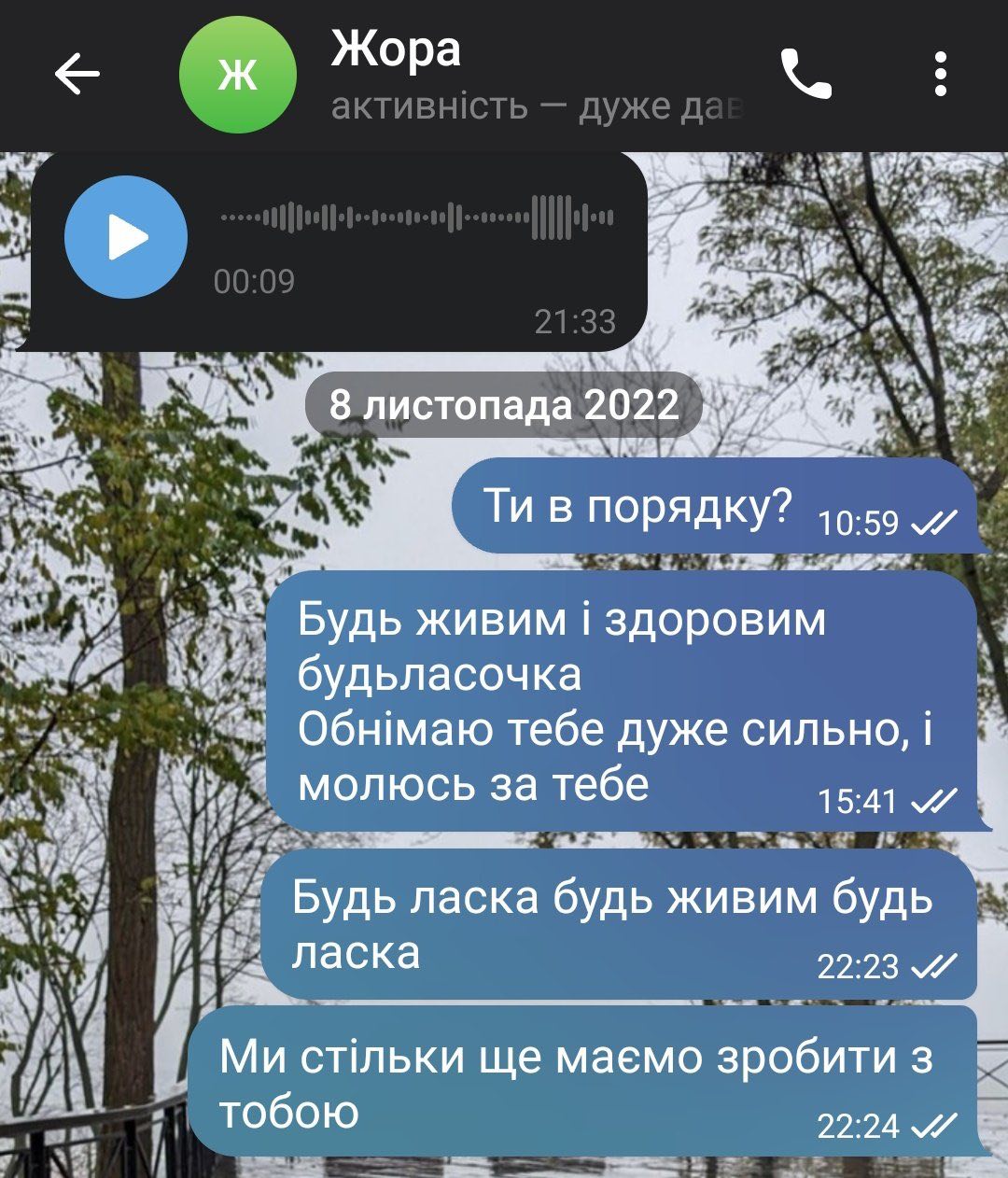 Вдови українських військових показують останні листування з коханими: щемливі фото