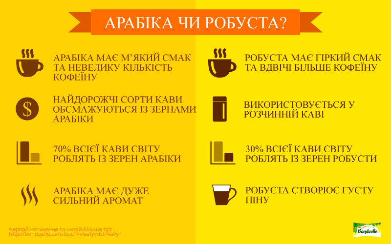 Арабіка чи робуста: у чому відмінність і яку каву краще вибрати