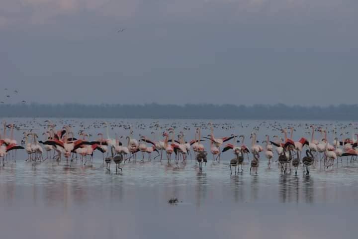 Настоящее чудо: под Одессой море невероятным способом соединилось с водоемами