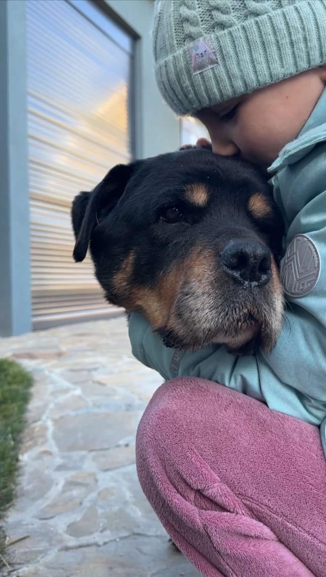 В Україні зафіксують рекорд собаки-ротвейлера: чим відзначилася тварина