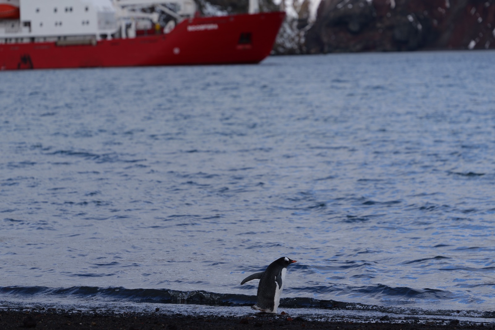 "Пройшли Дрейком, як автобаном". На "Академік Вернадський" прибула нова команда полярників (фото)