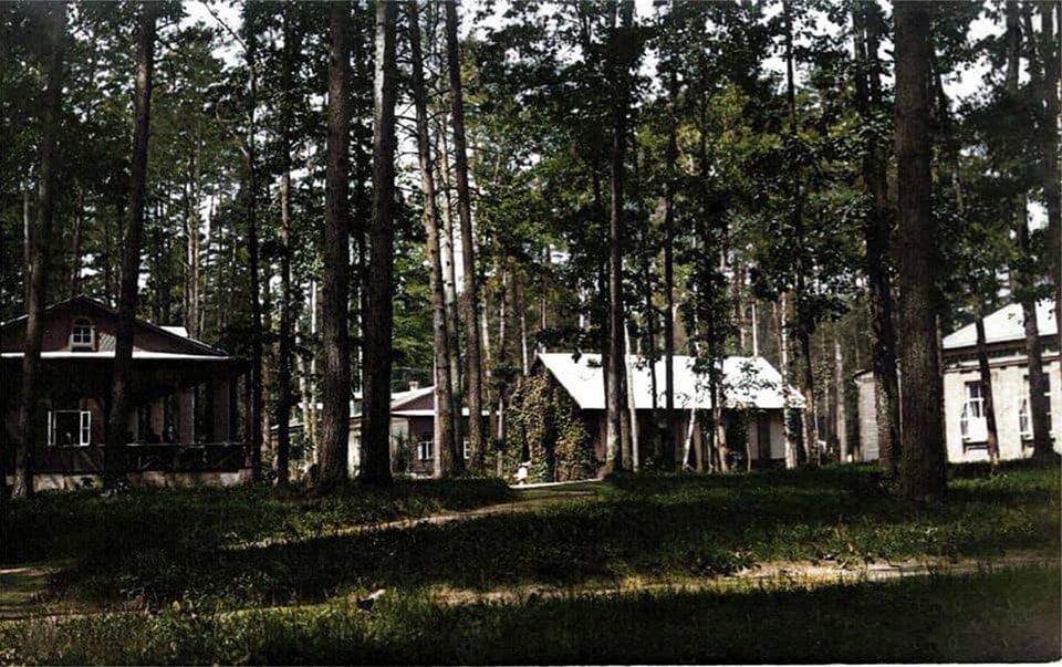 С железнодорожной станцией и элитными дачами. Как выглядела столичная Дарница 100 лет назад