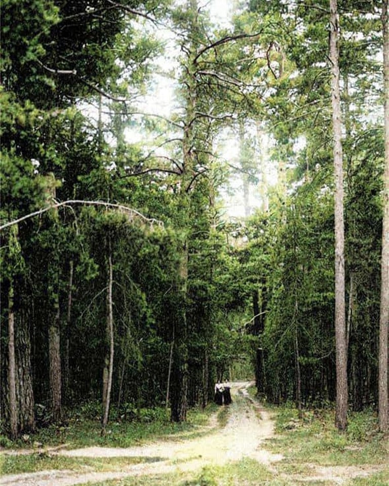 С железнодорожной станцией и элитными дачами. Как выглядела столичная Дарница 100 лет назад