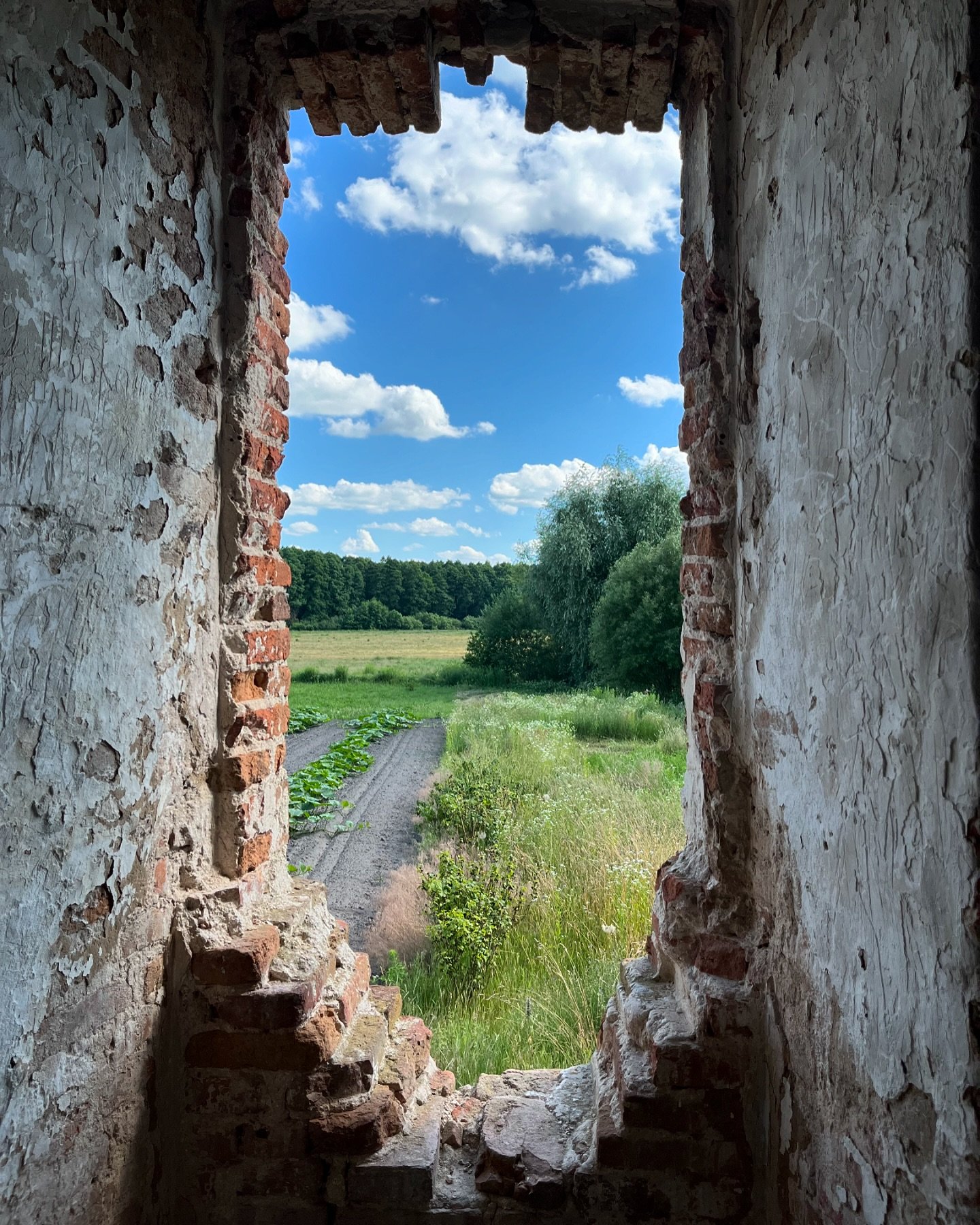 На Волині знайшли руїни костелу і монастиря кармелітів: що відомо (фото)