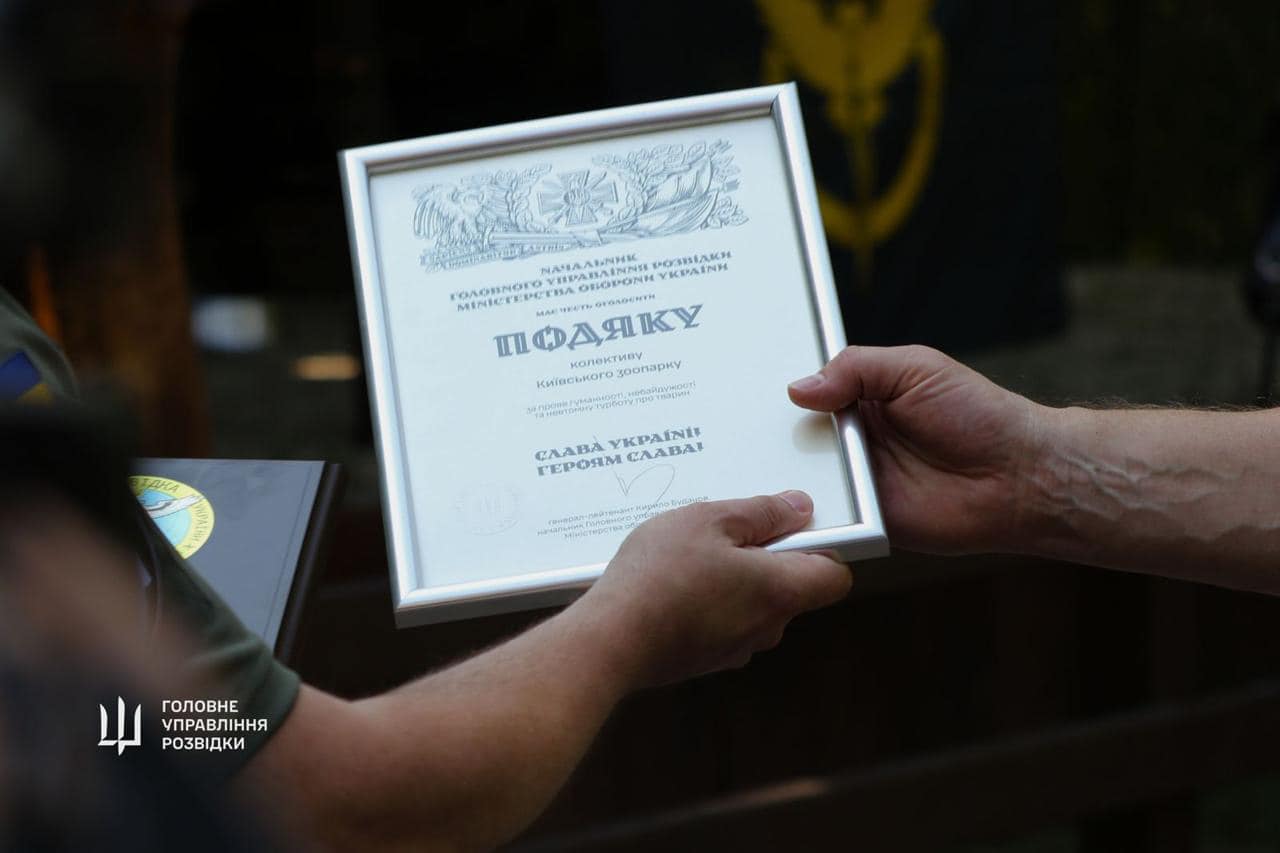 "Штатні" сови ГУР оселяться у Київському зоопарку. Неймовірна історія порятунку птахів (фото)