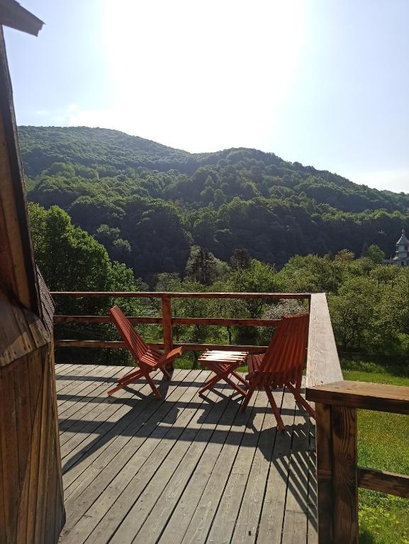 Весенние выходные в Карпатах: топ домов и коттеджей, где можно отдохнуть на природе