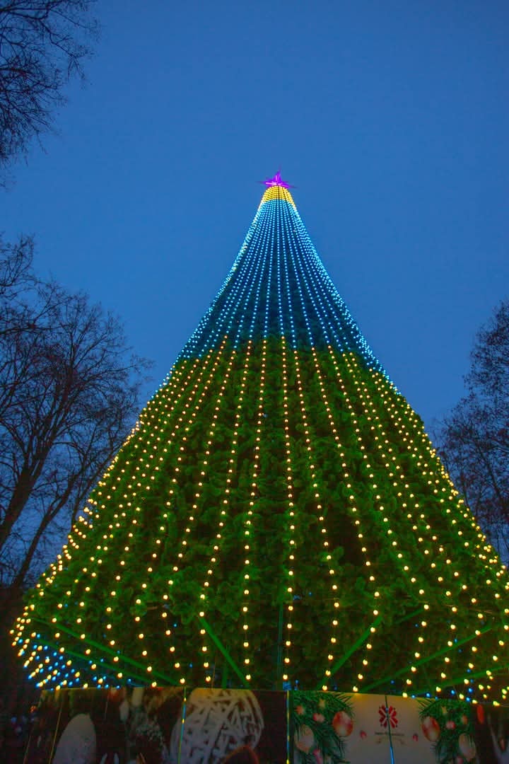 Новый год 2025. Как выглядят главные елки в разных городах Украины (фото)