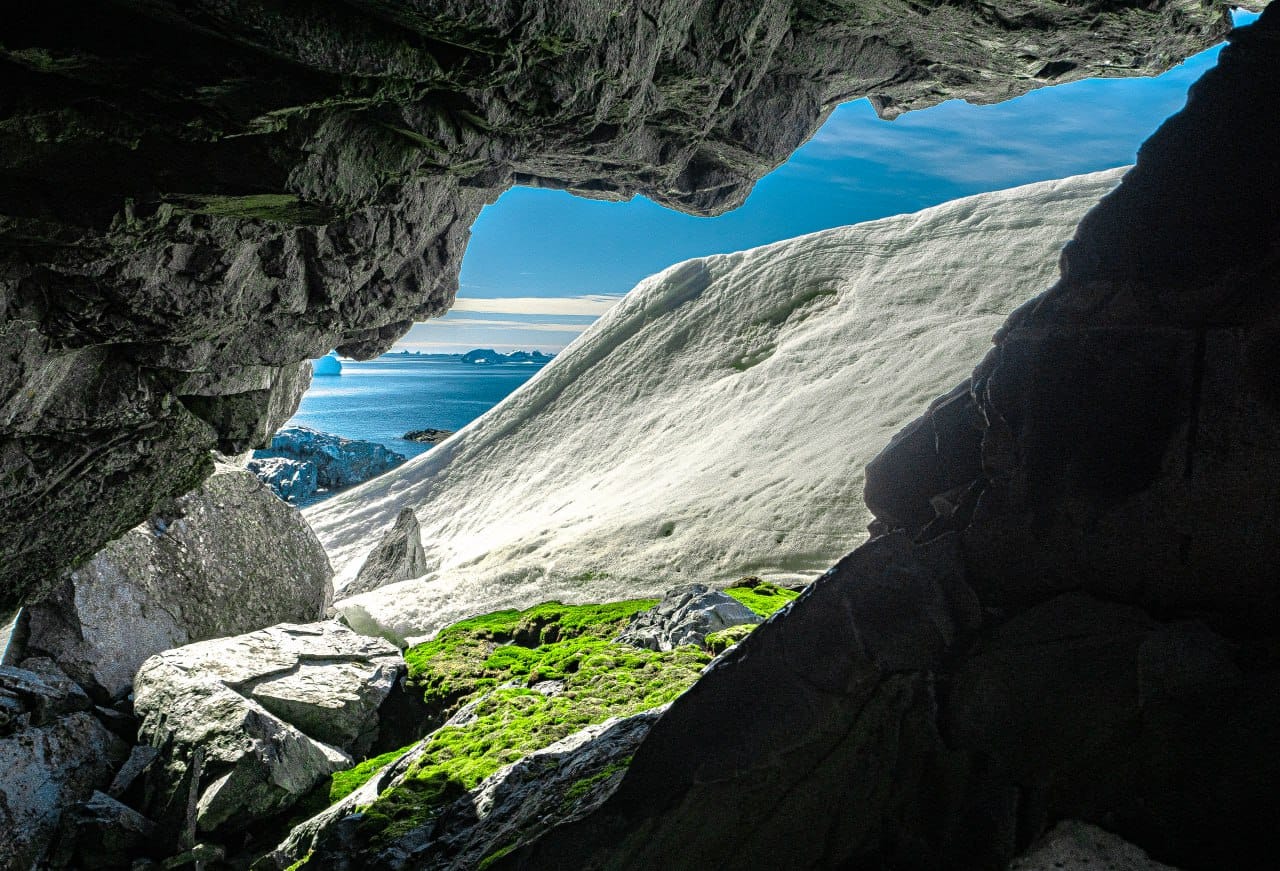 Українські полярники показали зелене літо в Антарктиці: захоплюючі фото природи