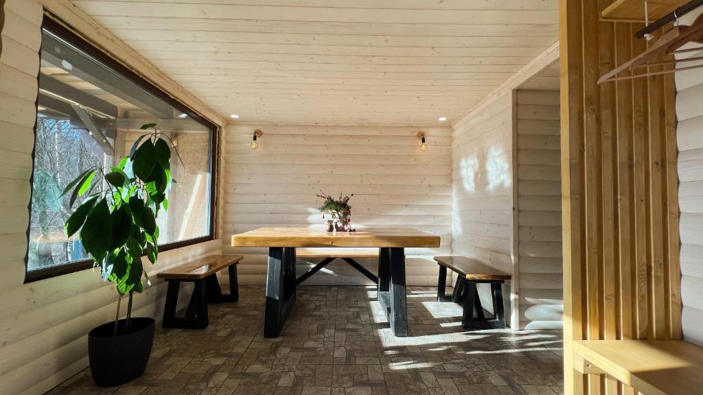 Весенние выходные в Карпатах: топ домов и коттеджей, где можно отдохнуть на природе