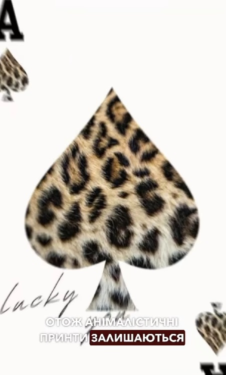 Колготки з візерунками та анімалістичний принт: Андре Тан назвав найяскравіші тренди 2025 року