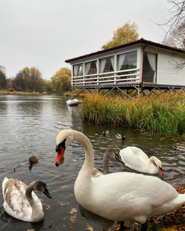 Перлина Волині. Найцікавіші локації Луцька для подорожі на вікенд
