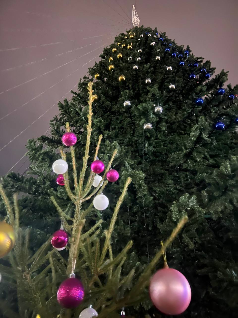 В Керчи установили елку с украинской символикой: оккупанты бесятся от злости (фото)