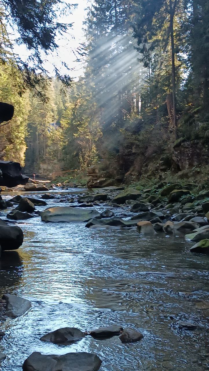 Красота гор и комфорт: где отдохнуть и что посмотреть в Микуличине
