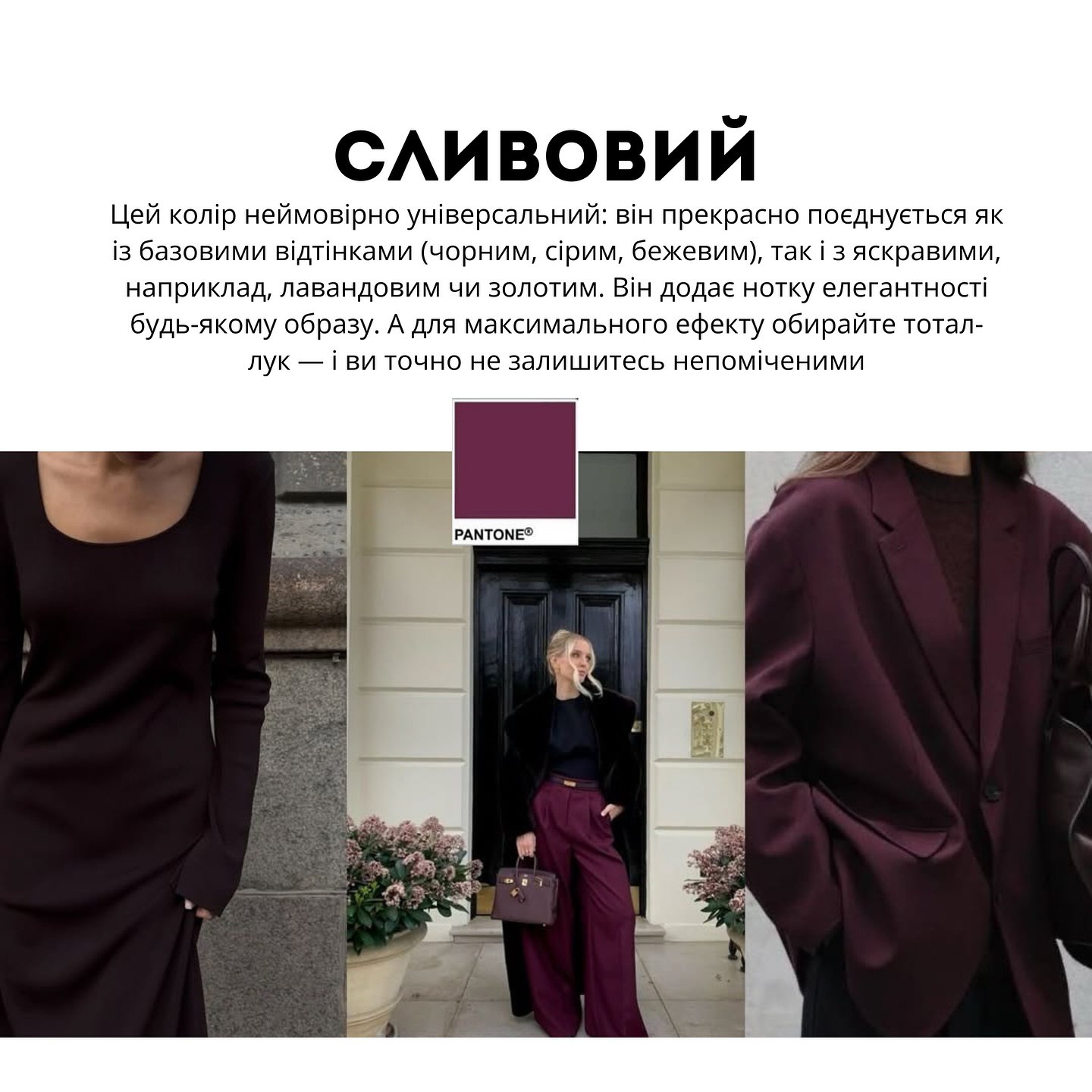 Не только Mocha Mousse: Андре Тан назвал самые актуальные цвета зимы 2025