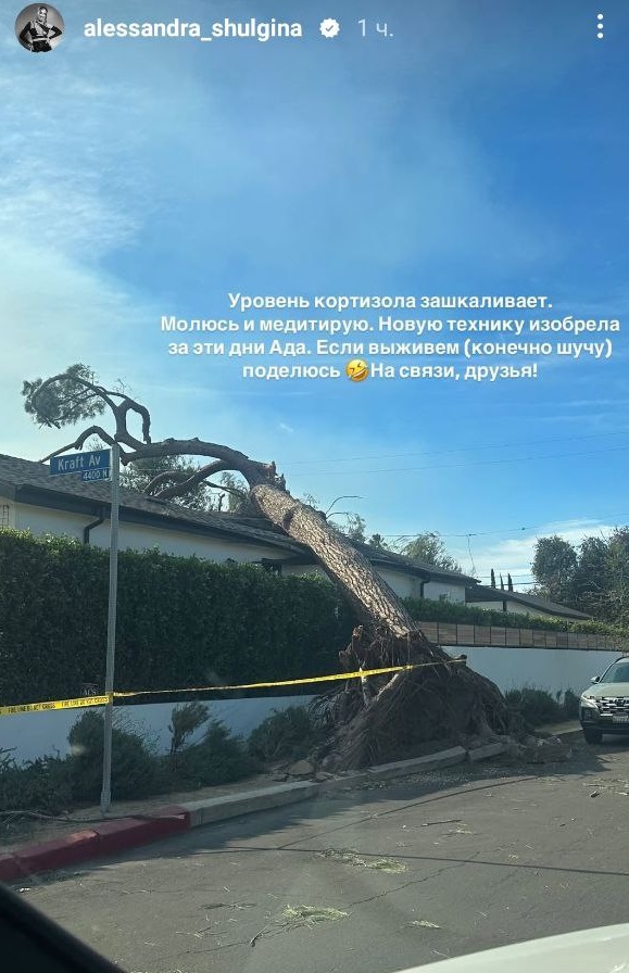 "Мысленно прощаюсь": победительница "Холостяка" показала ужасные кадры пожара в Лос-Анджелесе