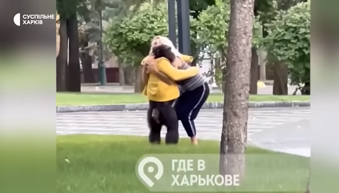 В Харькове на улице гулял шимпанзе, который сбежал из зоопарка: животное вернули на велосипеде (видео)