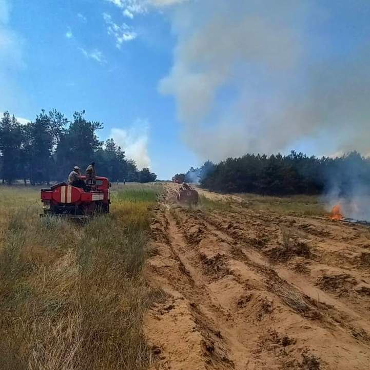 Море вкрите попелом. На окупованій Кінбурнській косі п'ятий місяць тривають пожежі (фото)