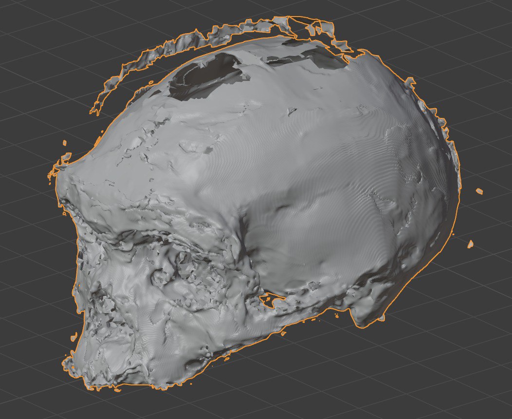 Вчені відтворили зовнішність виду людини, яка зникла 150 тисяч років тому: як вона виглядала