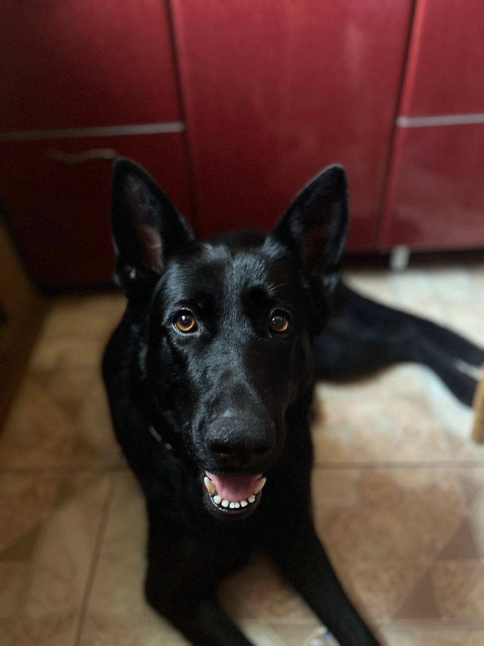 Мать защитника Азовстали вывезла из Мариуполя награды сына: уже месяц от него нет вестей