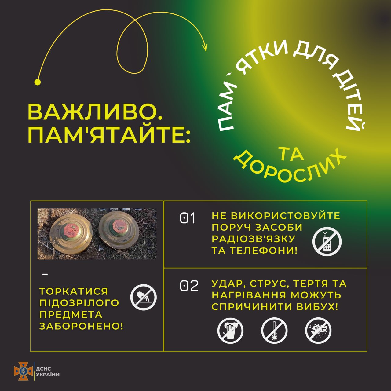 8 дітей стали сиротами: під Житомиром трагічно загинуло молоде подружжя