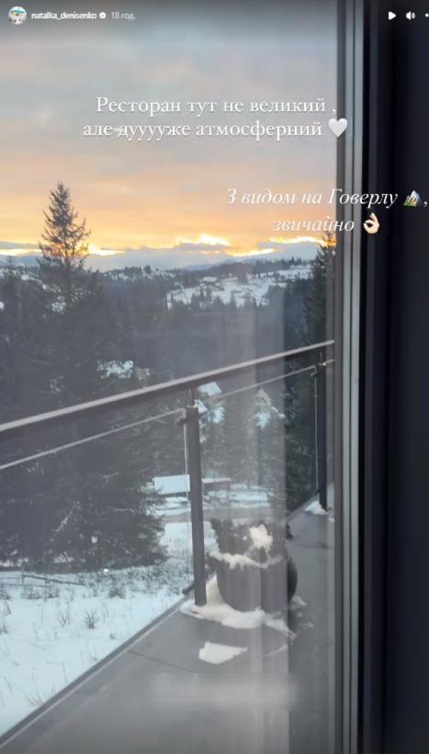 Наталка Денисенко в купальнике блеснула подтянутой фигурой на фоне зимних Карпат (фото)