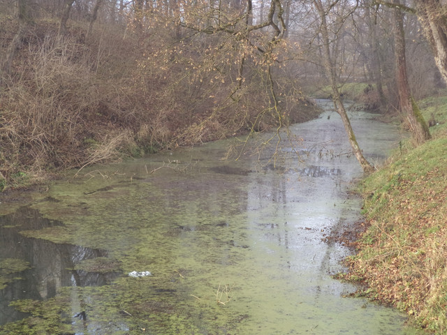 Под Львовом продают уникальный замок XVIII столетия за 1 гривну (фото)