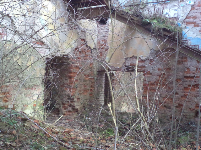 Под Львовом продают уникальный замок XVIII столетия за 1 гривну (фото)