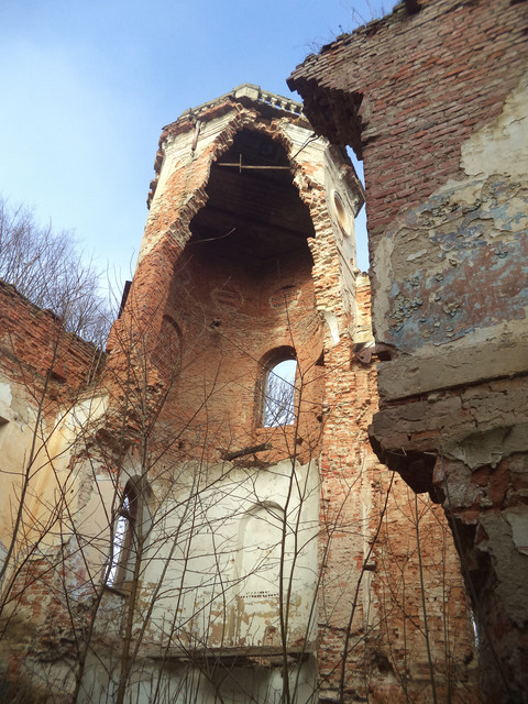 Под Львовом продают уникальный замок XVIII столетия за 1 гривну (фото)