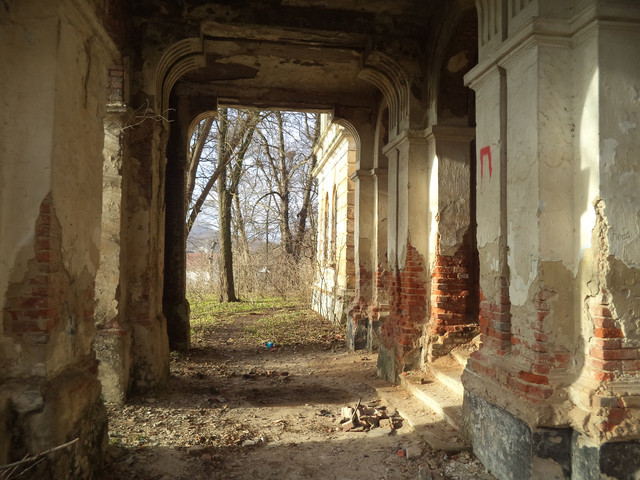 Под Львовом продают уникальный замок XVIII столетия за 1 гривну (фото)