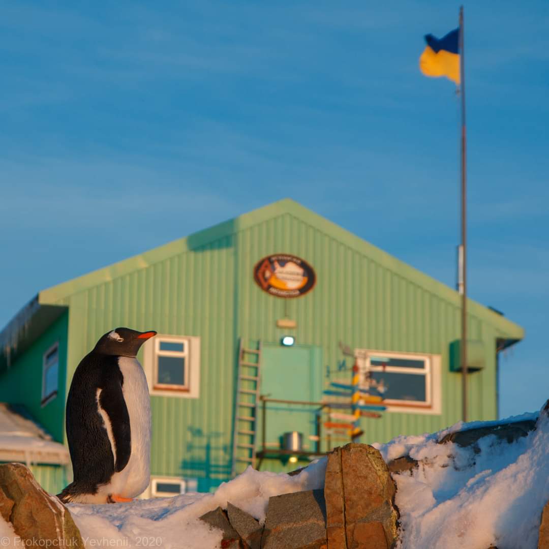 Полярник Богдан Гаврилюк: Холод - единственное, к чему не может привыкнуть человек