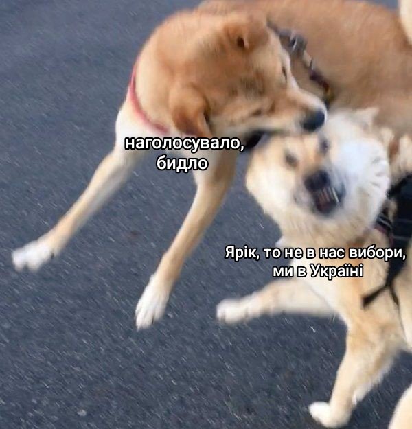 Смішні українські меми про вибори в США і перемогу Трампа (фото)