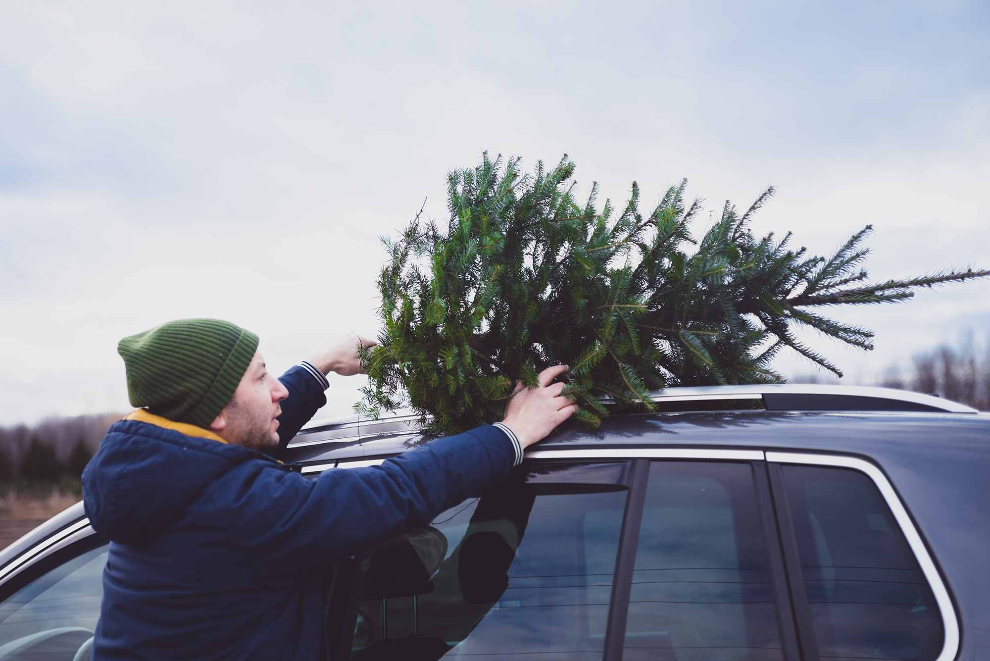 Як перевезти ялинку на автомобілі: розбираємо лайфхаки та основні помилки