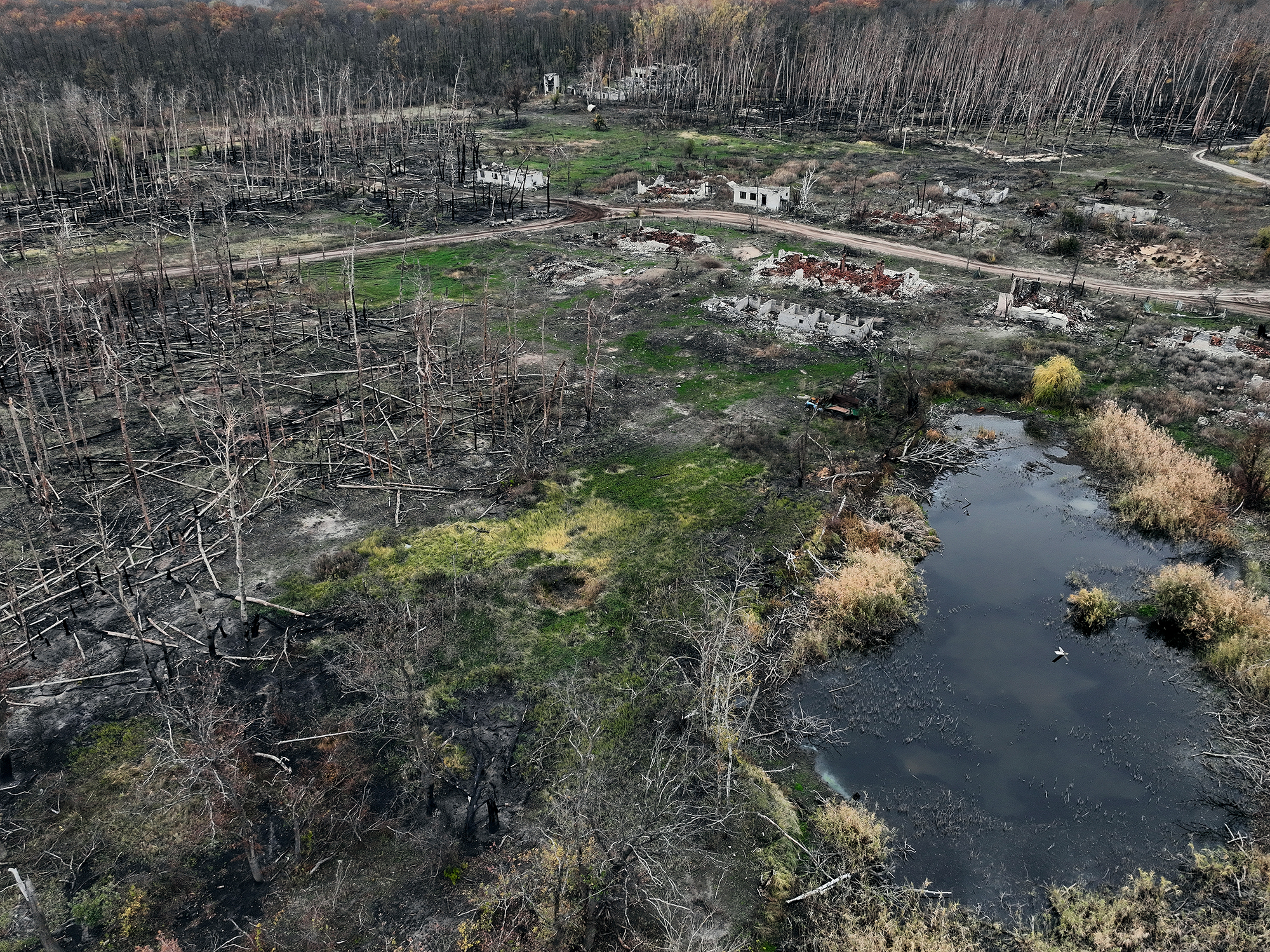 Академик НАН: На месте Каховского водохранилища за 20 лет вырастет уникальный лес