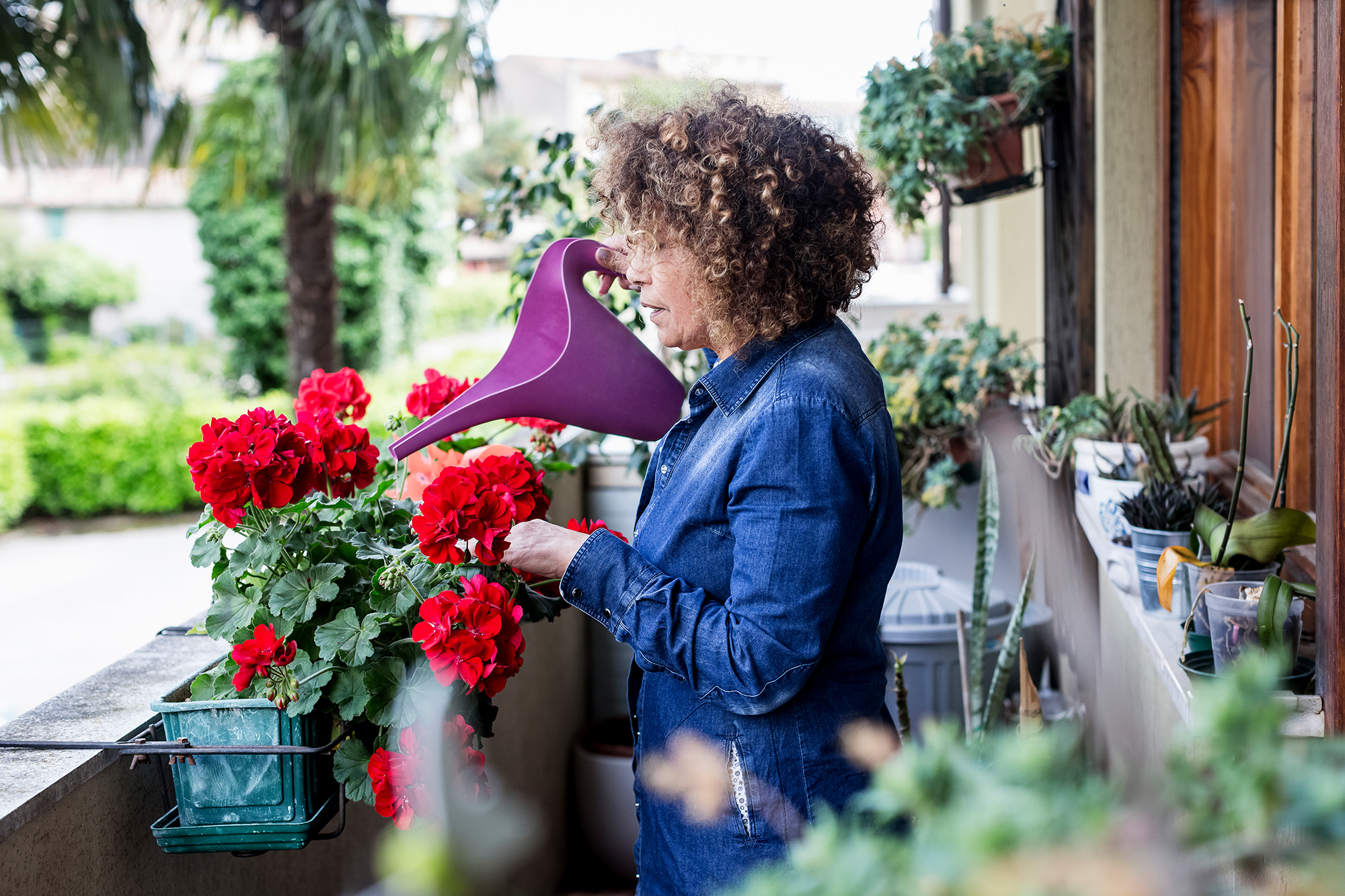 Рослини теж мерзнуть: як утеплити балконні квіти