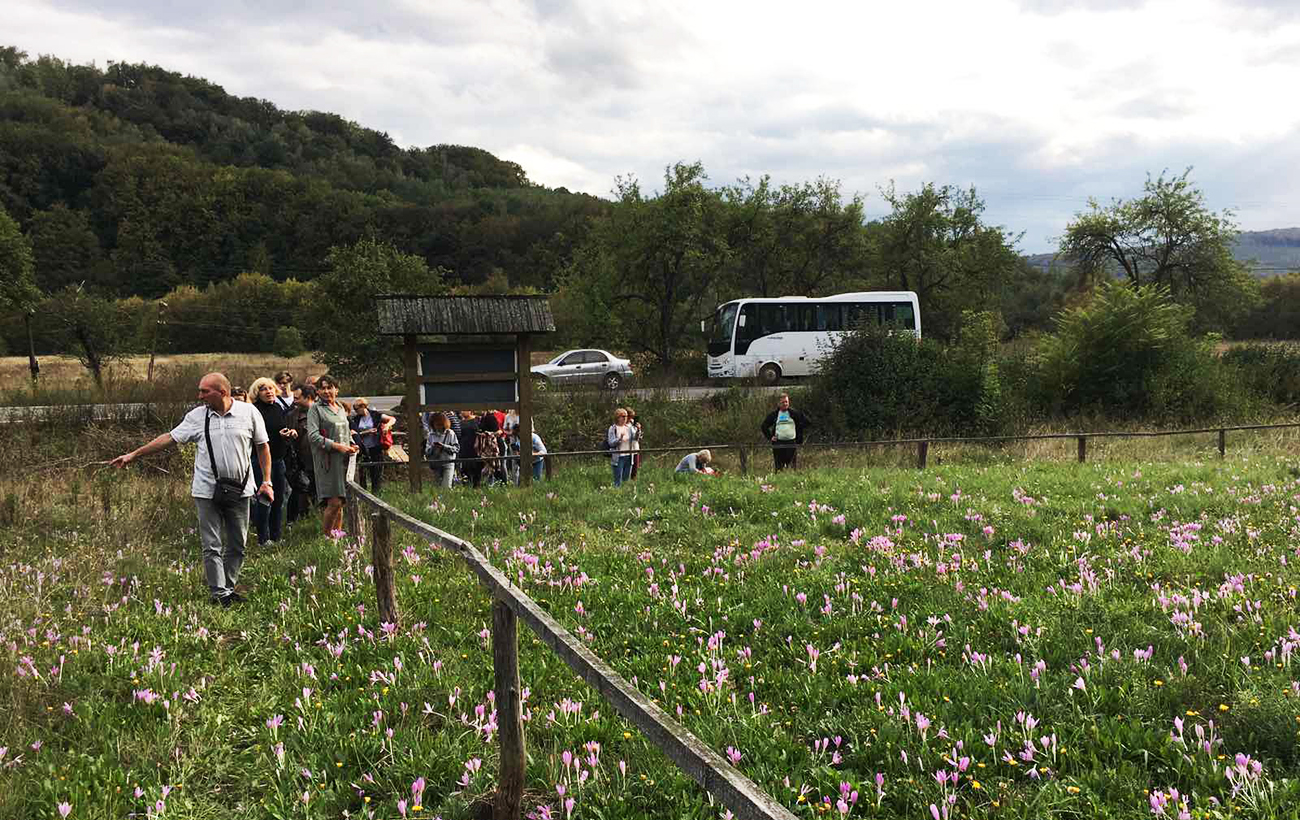 У відпустку після перемоги. Як турбізнес виживає під час війни