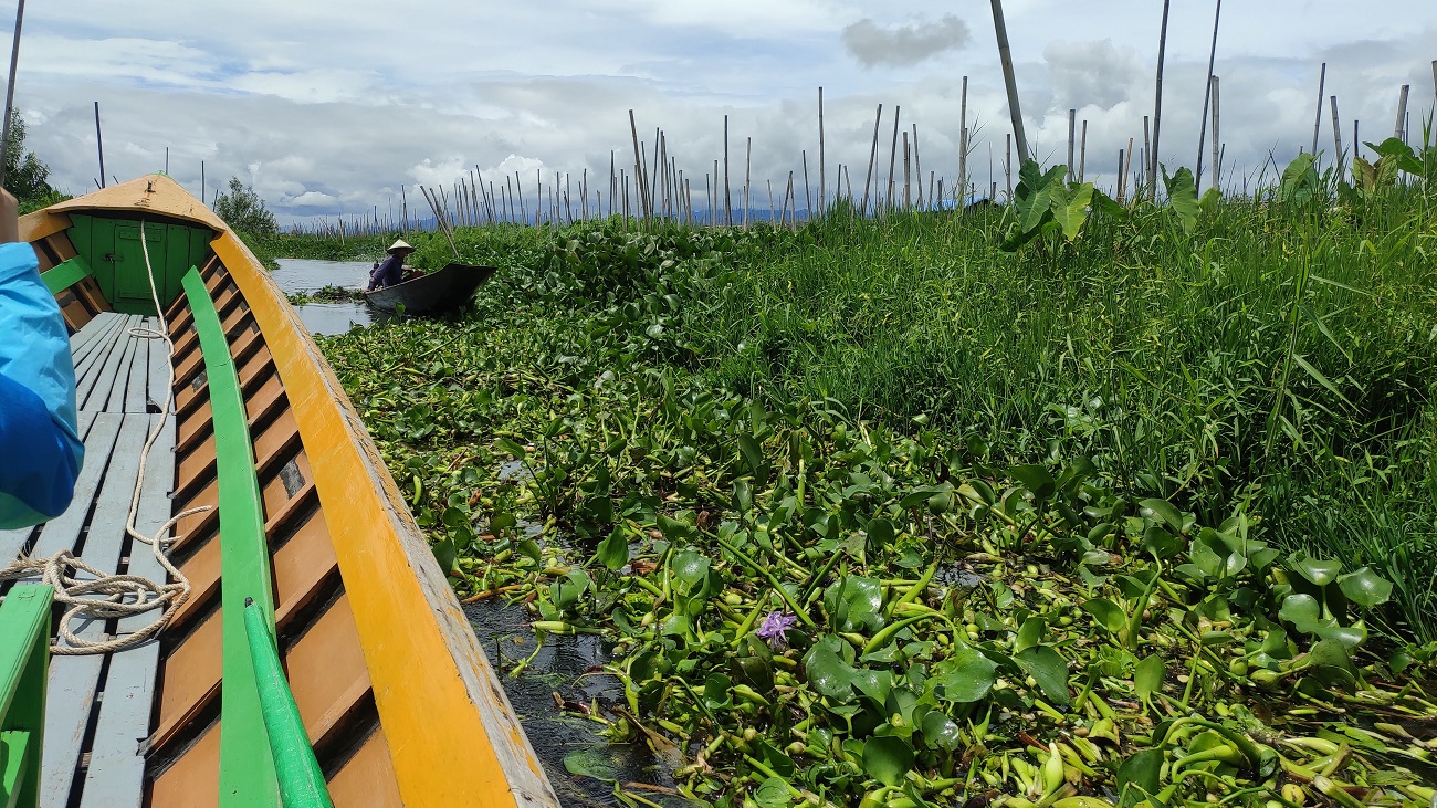 "Інший світ": українка побувала в країні, де чиновники перенесли столицю за порадою астрологів
