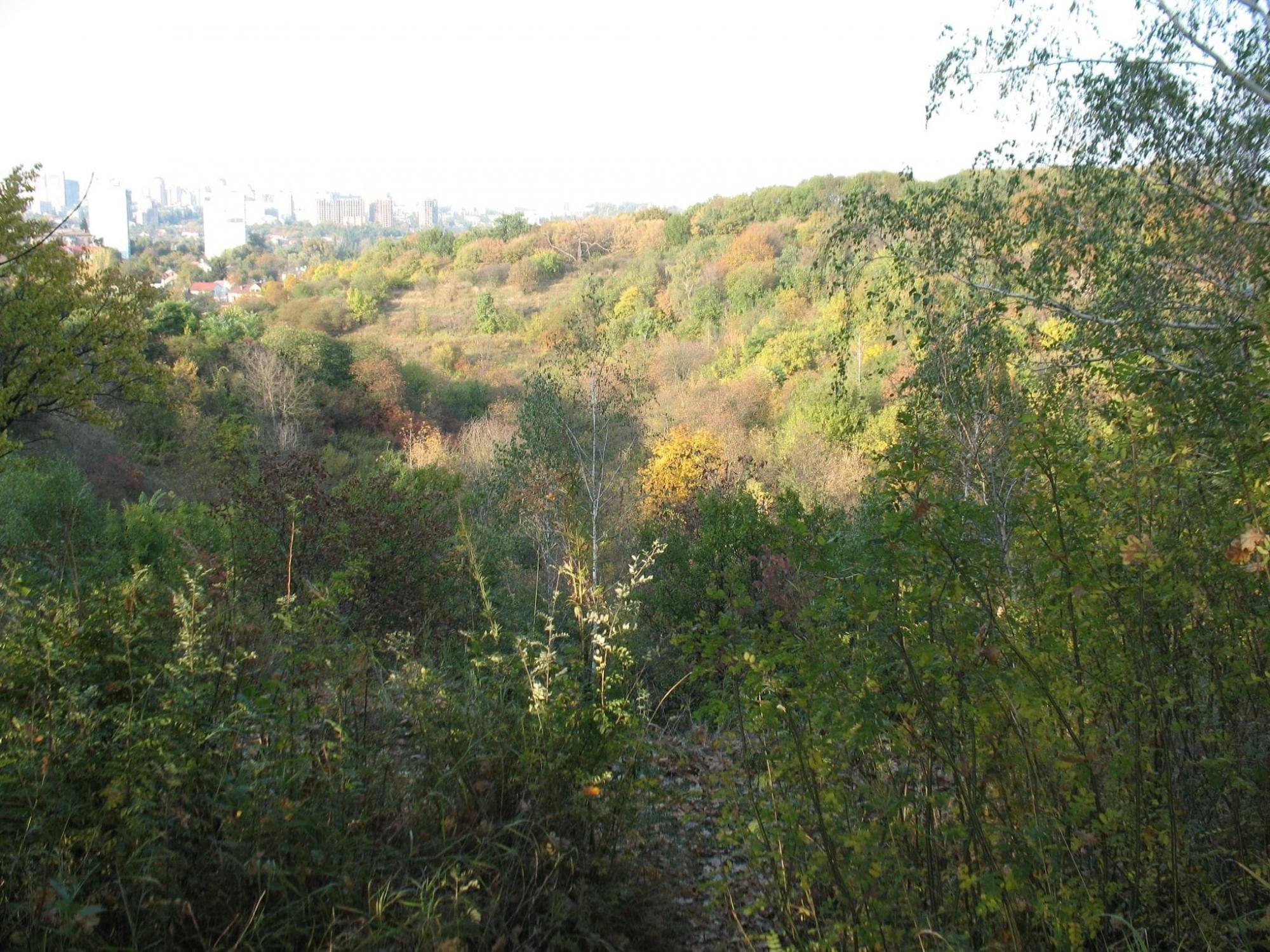 Чому не можна будувати військове кладовище на Лисій горі: пояснення експертів