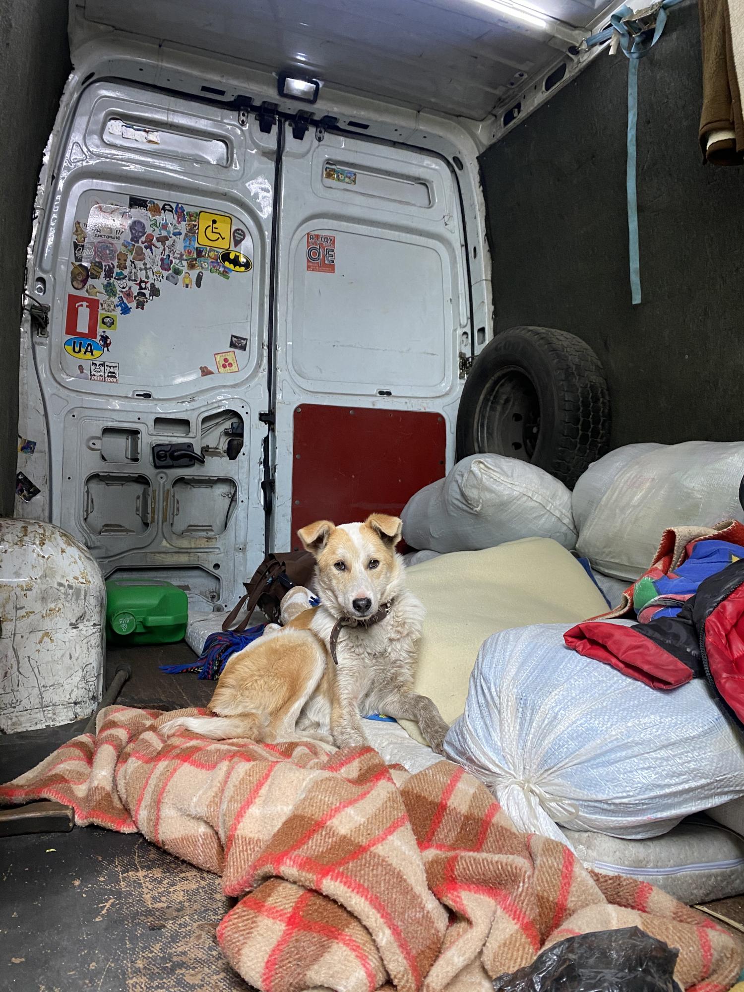 "Своїм прикладом хочу показати, як можна допомагати": як український музикант евакуює людей із лінії фронту (фото)