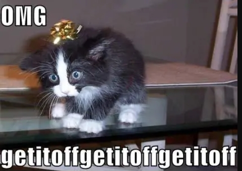 Просто і геніально. 18 випадкових винаходів, які зробили своїх творців мільйонерами