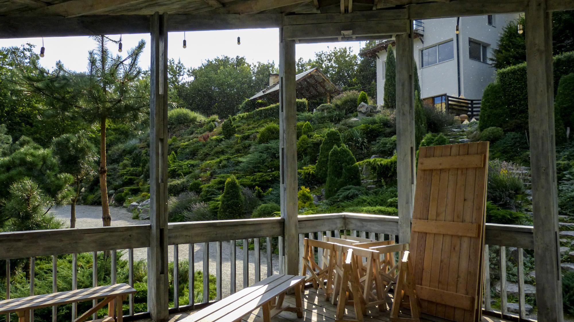 Красота из руин. Как Сергей Горбань превратил свалку в сад прямо в центре города